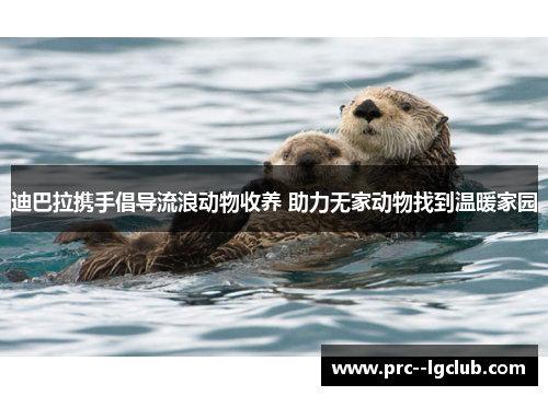 迪巴拉携手倡导流浪动物收养 助力无家动物找到温暖家园