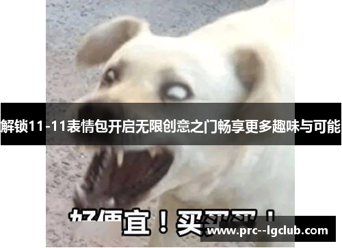 解锁11-11表情包开启无限创意之门畅享更多趣味与可能