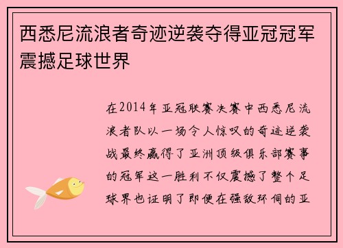 西悉尼流浪者奇迹逆袭夺得亚冠冠军震撼足球世界 西悉尼流浪者奇迹逆袭夺得亚冠冠军震撼足球世界